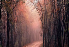 第5个欧冠席位稳了❗英超球队再赢1场欧战，即可锁定额外欧冠名额.