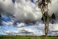 亚博体育：国足主帅伊万：输球也要让对手感到胜利的不易人民日报客户端.