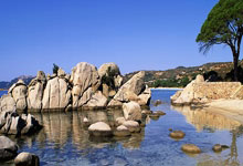 [足球之夜]徐阳带来中国队18强赛进球解析.